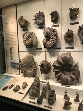 国立科学博物館に投稿された画像（2024/8/25）