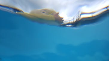 関西サイクルスポーツセンターに投稿された画像（2024/8/25）