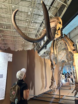 巨大恐竜展2024に投稿された画像（2024/8/25）