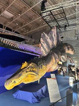 巨大恐竜展2024に投稿された画像（2024/8/25）