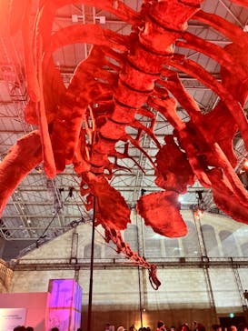 巨大恐竜展2024に投稿された画像（2024/8/25）