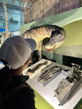 巨大恐竜展2024に投稿された画像（2024/8/25）