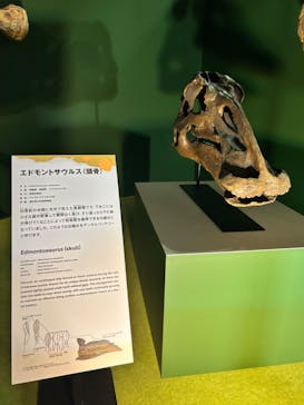 巨大恐竜展2024に投稿された画像（2024/8/25）