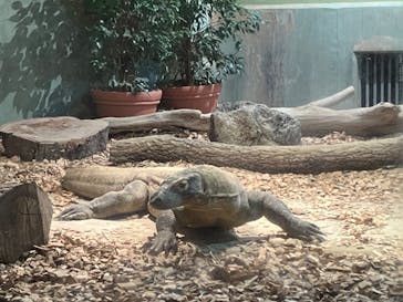 名古屋市東山動植物園に投稿された画像（2024/8/25）