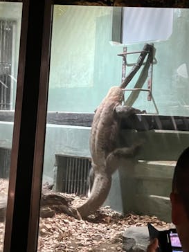 名古屋市東山動植物園に投稿された画像（2024/8/25）