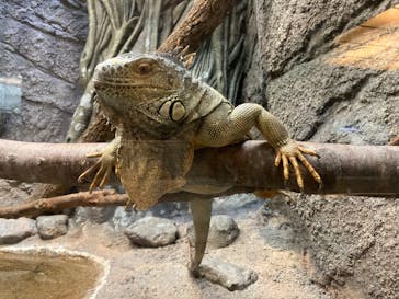 名古屋市東山動植物園に投稿された画像（2024/8/25）