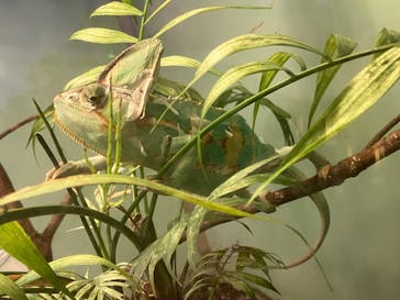 名古屋市東山動植物園に投稿された画像（2024/8/25）