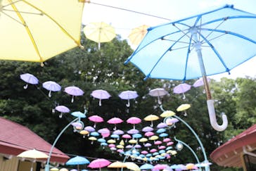 ムーミンバレーパークに投稿された画像（2024/8/25）