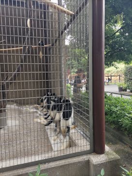 恩賜上野動物園に投稿された画像（2024/8/25）