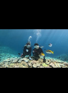 青の洞窟専門店　沖縄ダイビングショップ和に投稿された画像（2024/8/25）