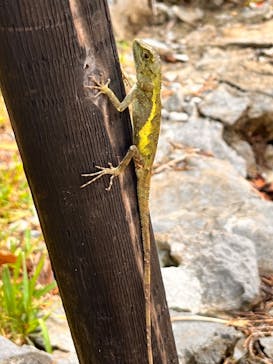 アスムイハイクスに投稿された画像（2024/8/25）