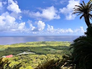 アスムイハイクスに投稿された画像（2024/8/25）