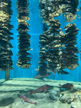 仙台うみの杜水族館に投稿された画像（2024/8/25）
