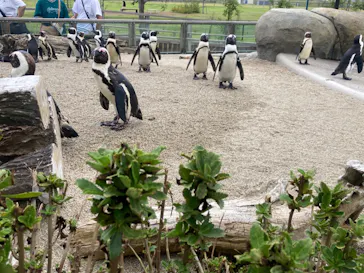 仙台うみの杜水族館に投稿された画像（2024/8/25）