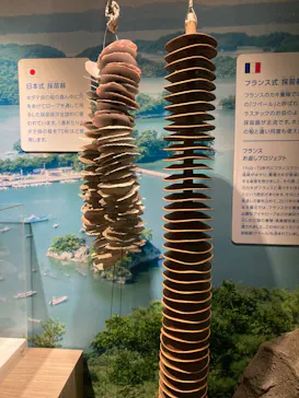 仙台うみの杜水族館に投稿された画像（2024/8/25）