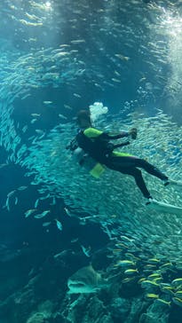 マリンワールド海の中道に投稿された画像（2024/8/25）