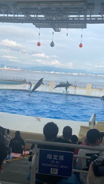 マリンワールド海の中道に投稿された画像（2024/8/25）