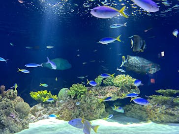 マリンワールド海の中道に投稿された画像（2024/8/25）