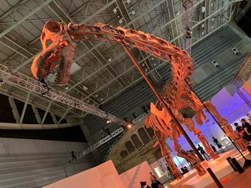 巨大恐竜展2024に投稿された画像（2024/8/25）
