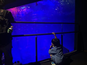 アクアワールド茨城県大洗水族館に投稿された画像（2024/8/25）