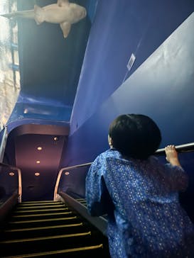 アクアワールド茨城県大洗水族館に投稿された画像（2024/8/25）