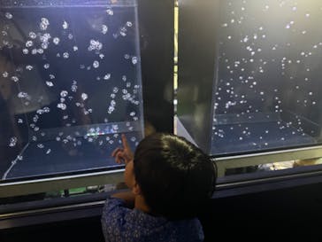 アクアワールド茨城県大洗水族館に投稿された画像（2024/8/25）