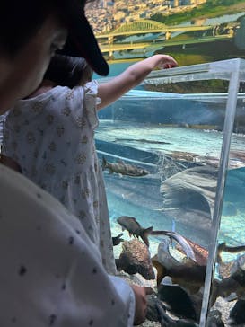 カワスイ 川崎⽔族館に投稿された画像（2024/8/25）