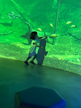 カワスイ 川崎⽔族館に投稿された画像（2024/8/25）