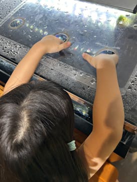 カワスイ 川崎⽔族館に投稿された画像（2024/8/25）