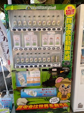 ブラジリアンパーク鷲羽山ハイランドに投稿された画像（2024/8/25）