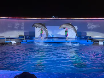 仙台うみの杜水族館に投稿された画像（2024/8/25）