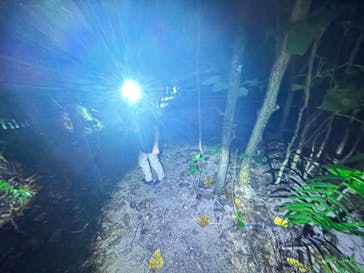 西表島 ADVENTURE PiPi（アドベンチャーピピ）に投稿された画像（2024/8/25）