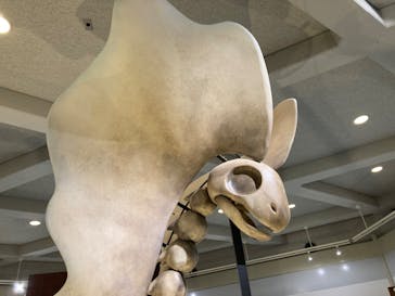 岐阜県博物館に投稿された画像（2024/8/25）