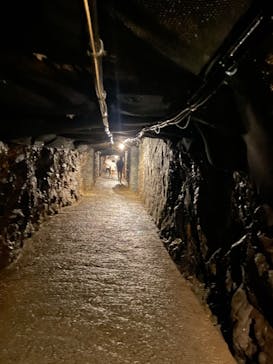 地底王国「美川ムーバレー」に投稿された画像（2024/8/25）