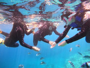 沖縄マリンサービス碧に投稿された画像（2024/8/25）