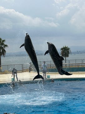 マリンワールド海の中道に投稿された画像（2024/8/25）