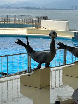 マリンワールド海の中道に投稿された画像（2024/8/25）