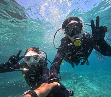 沖縄マリンサービス碧に投稿された画像（2024/8/25）