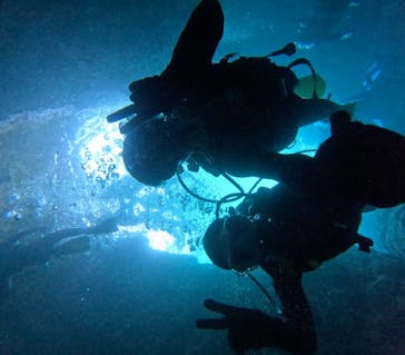 沖縄マリンサービス碧に投稿された画像（2024/8/25）