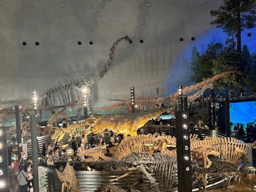 福井県立恐竜博物館に投稿された画像（2024/8/25）