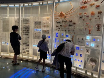 国立科学博物館に投稿された画像（2024/8/25）