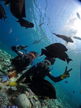 武藤潜水に投稿された画像（2024/8/25）