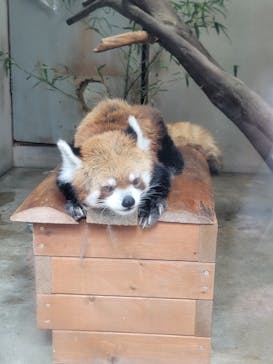 長崎バイオパークに投稿された画像（2024/8/25）