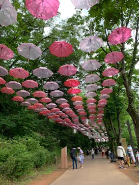 ムーミンバレーパークに投稿された画像（2024/8/25）