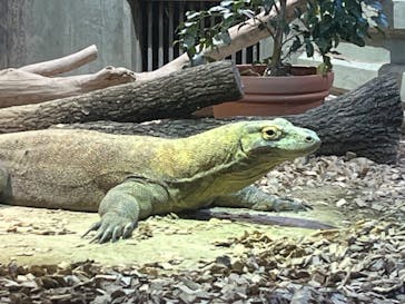 名古屋市東山動植物園に投稿された画像（2024/8/25）