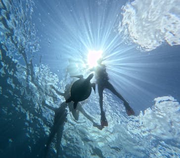  マリンショップHAPPYに投稿された画像（2024/8/25）