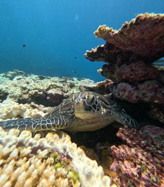  マリンショップHAPPYに投稿された画像（2024/8/25）