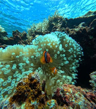  マリンショップHAPPYに投稿された画像（2024/8/25）