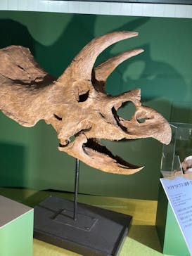 巨大恐竜展2024に投稿された画像（2024/8/25）