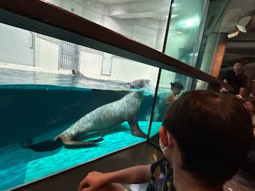 大分マリーンパレス水族館 「うみたまご」に投稿された画像（2024/8/25）